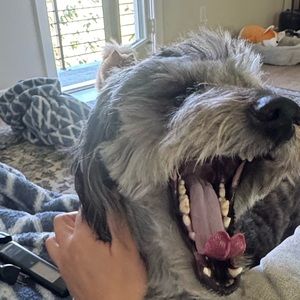 Meet your Posher, Paulina